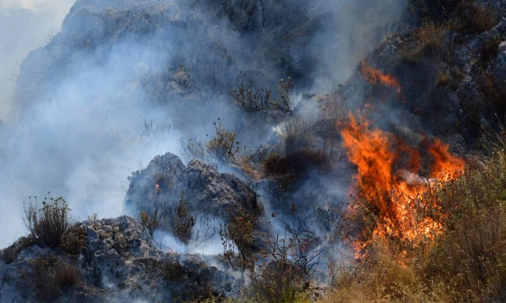 Πυρκαγιά τώρα στα Καλάβρυτα: Επιχειρούν επίγειες και εναέριες δυνάμεις της Πυροσβεστικής